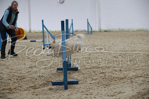 TBP_0190