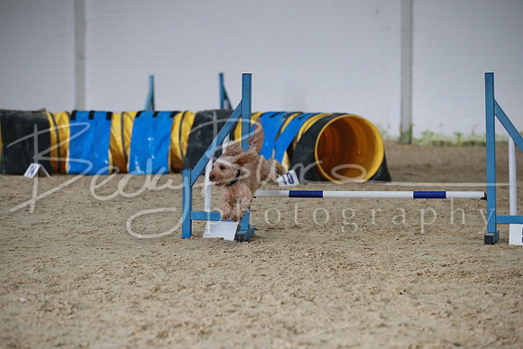 TBP_0287