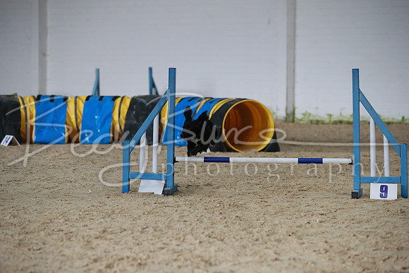 TBP_0257