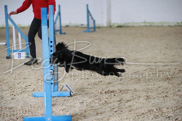 TBP_0242