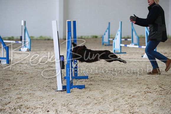 TBP_0339