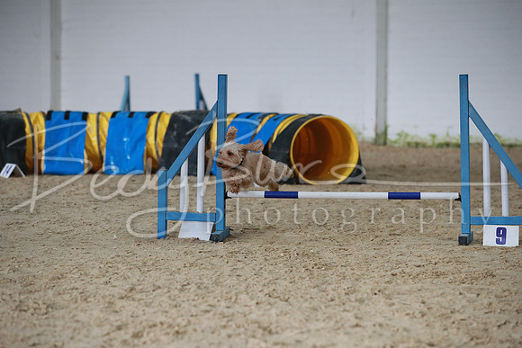 TBP_0286