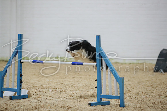 BBP_2894