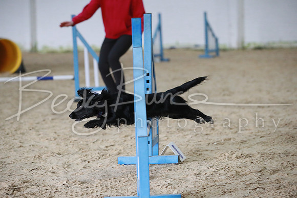 TBP_0243