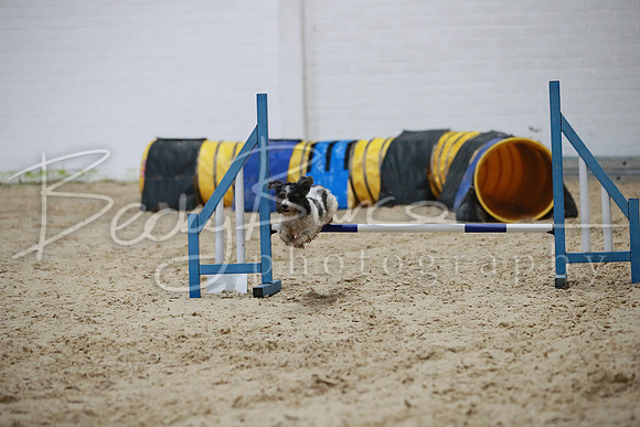 TBP_0037