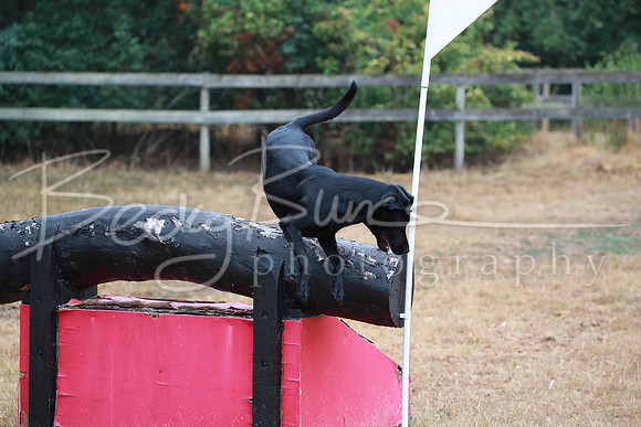 BBP_0973