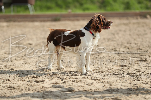 BBP_0172-2