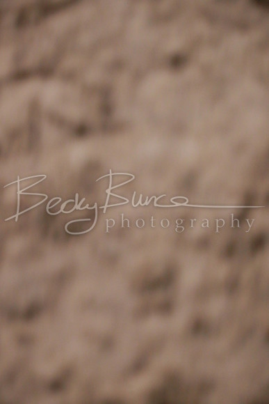 BBP_5637
