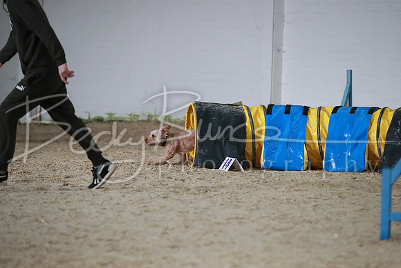 TBP_0275