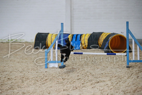 TBP_0240