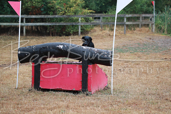 BBP_0962