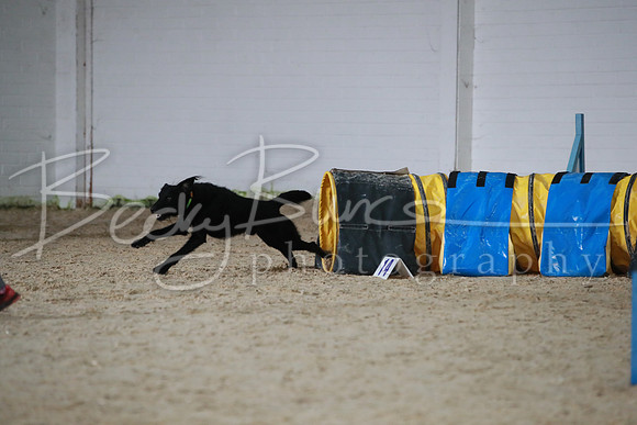 TBP_0229