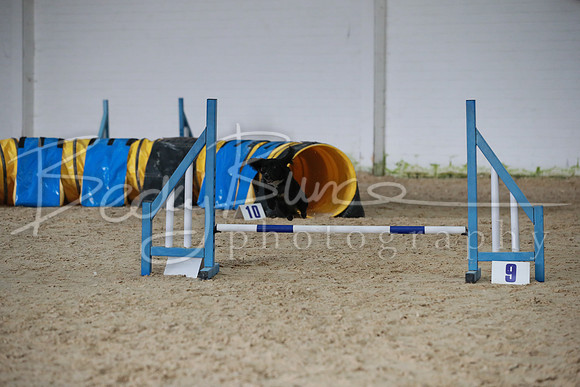 TBP_0255