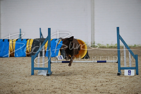 TBP_0165