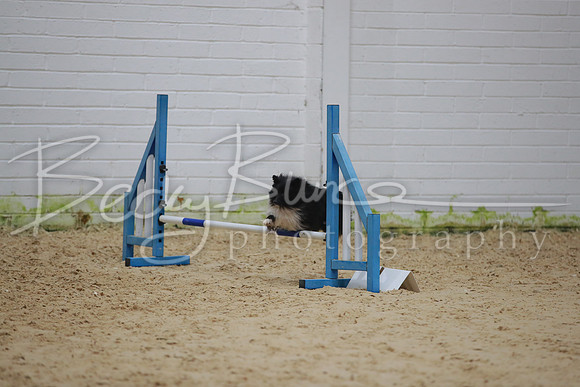 BBP_5376