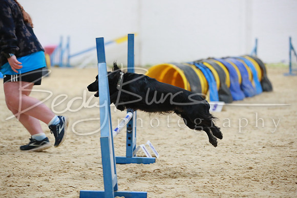 BBP_3704