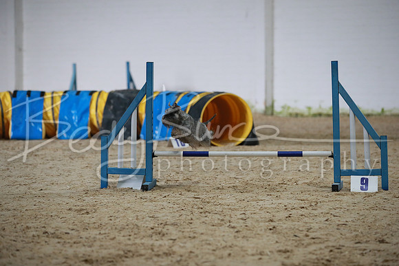 TBP_0101