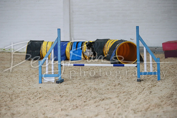 TBP_0295