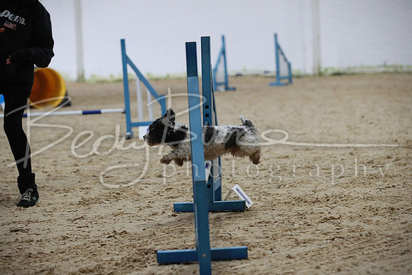 TBP_0038