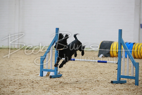 BBP_3684