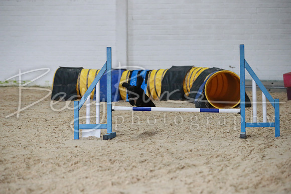 TBP_0238