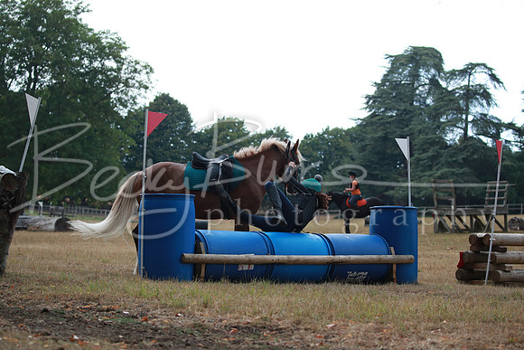 BBP_3049