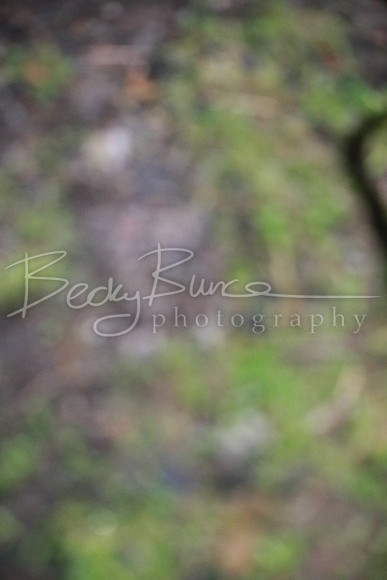 BBP_0752