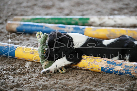 BBP_0201