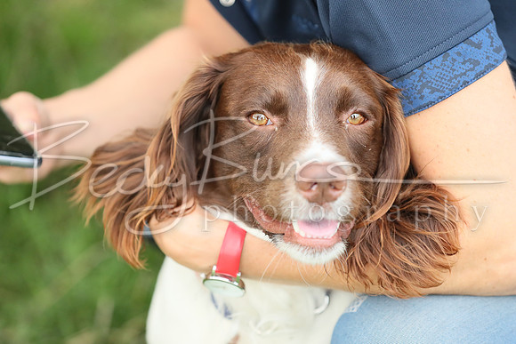 BBP_0496