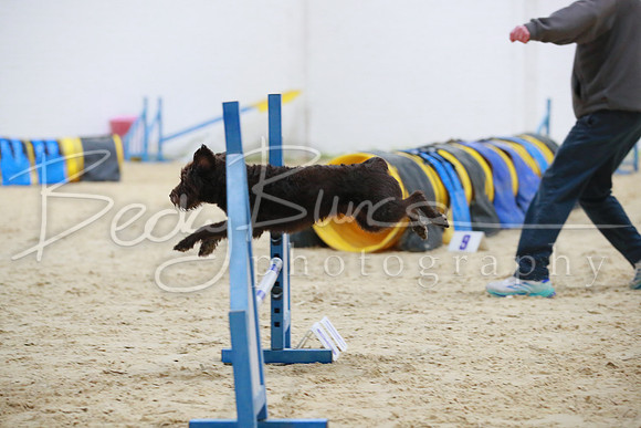 BBP_1387