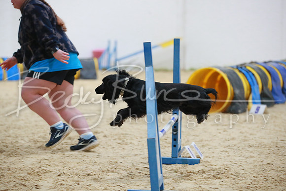 BBP_3705