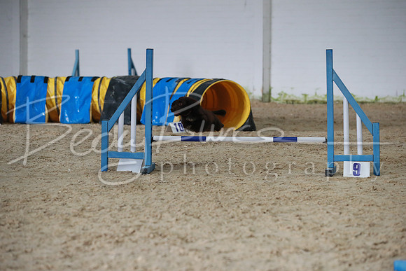 TBP_0335
