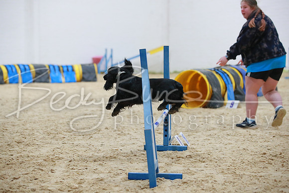BBP_3688