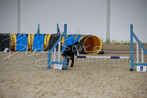 TBP_0258