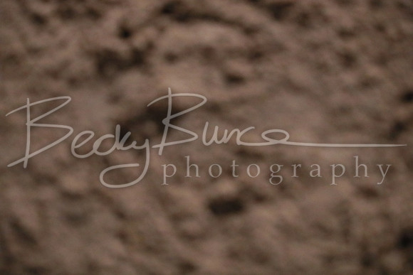 BBP_5744