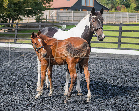 AG6I0690
