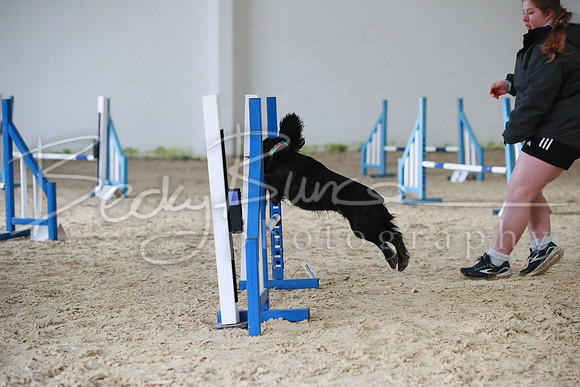TBP_0365