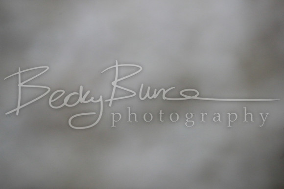 TBP_0700