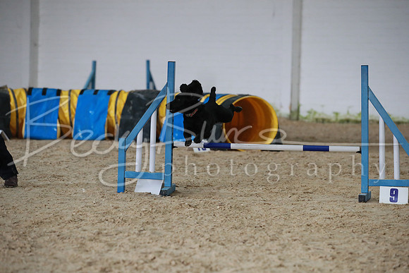 TBP_0382