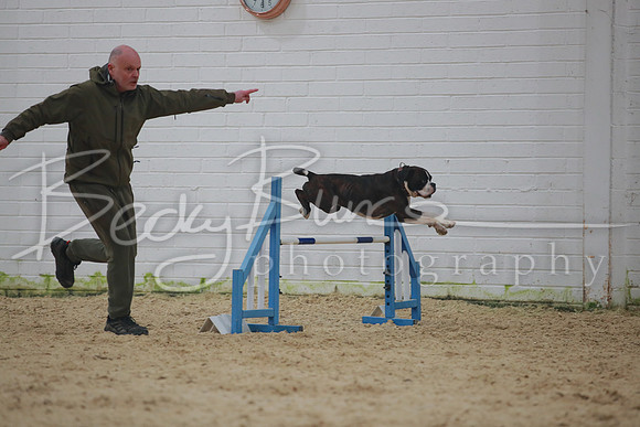BBP_5190