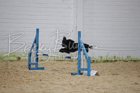 BBP_5592