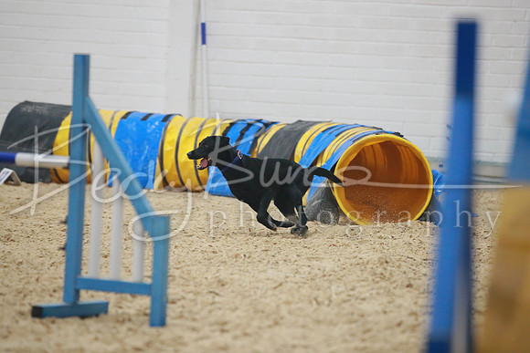BBP_5330