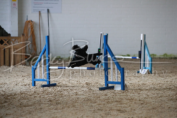 TBP_0378