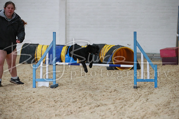 TBP_0353