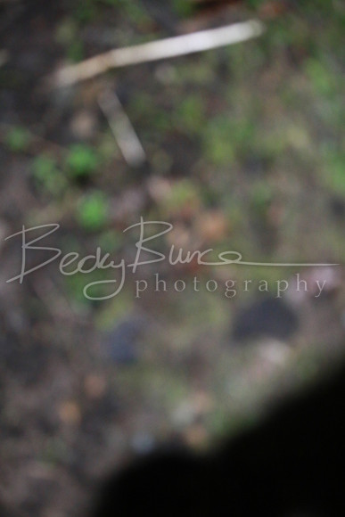 BBP_0793