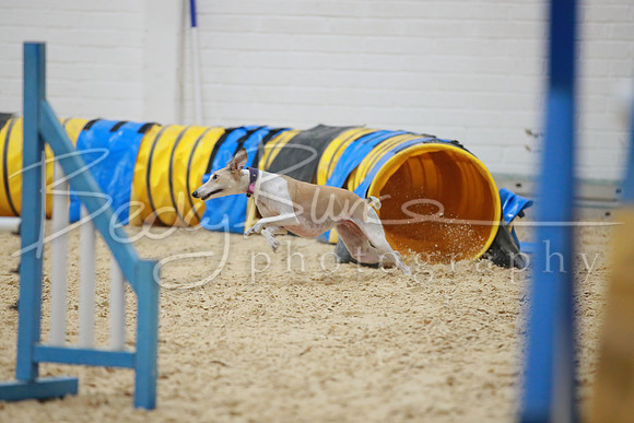 BBP_4311