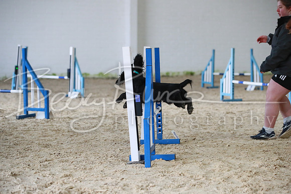 TBP_0366