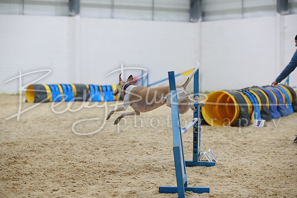 BBP_4318