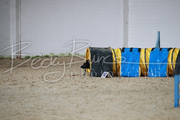 TBP_0247
