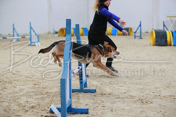 BBP_5581